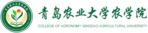 新葡萄8883官网amg